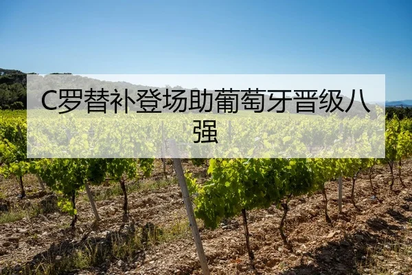 C罗替补登场助葡萄牙晋级八强